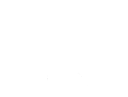 Ascension Realty International Logo